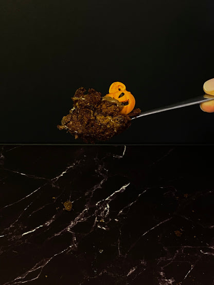 🎃 HALLOWEEN COLLECTION - Spooky Brownie